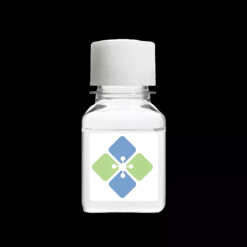 4-Aminophenylphosphorylcholine (Highly Pure)