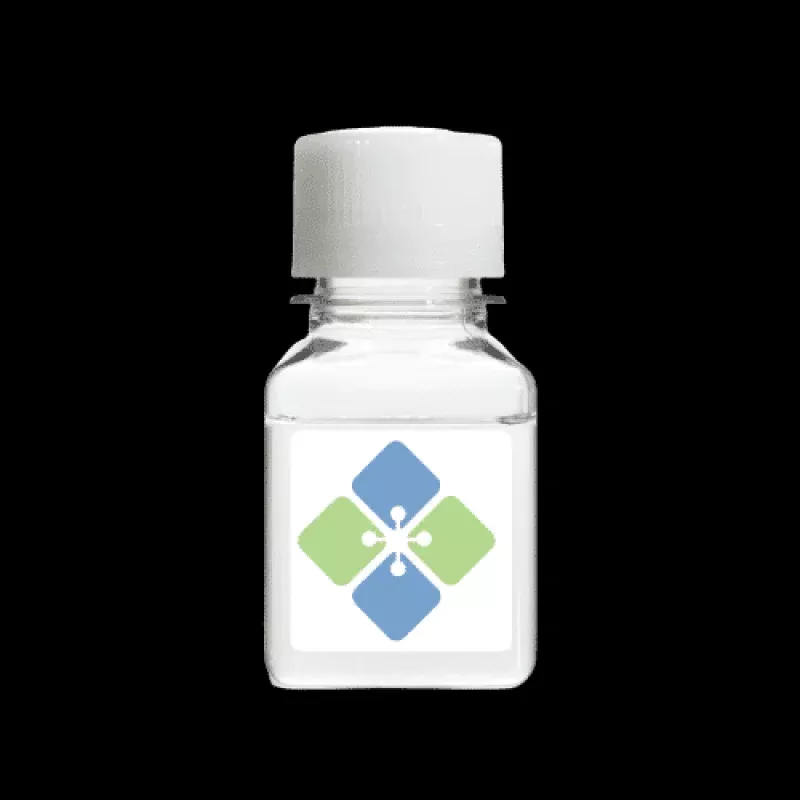 -Glucosidase (Aspergillus niger)